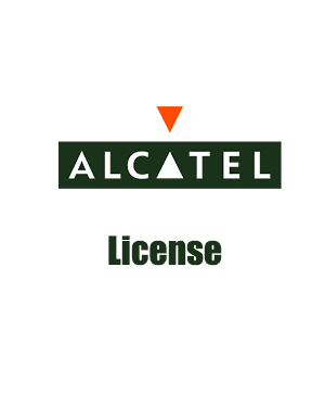 1 additional on-site mobile IP user software license