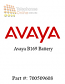 Avaya B169 Battery (700509608)