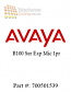 Avaya B100 Ser Exp Mic 1pr (700501539)