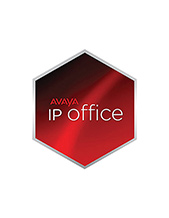 Avaya IP Office R9+ Essential Edition Add 2CH PLDS License Avaya IP Office R9+ Essential Edition Add 2CH PLDS License