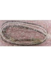 NEC CHS2U Batt CA Int Cable