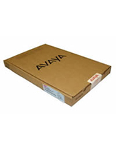 Avaya DECT Avaya InBuilding Wireless Server R2 Front Mounting Kit (700501780)