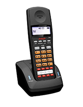Avaya 3920 Wireless Phone (700471121)