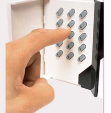 Direct Alarm Supplies Model #208L Direct Alarm Supplies Model #208L